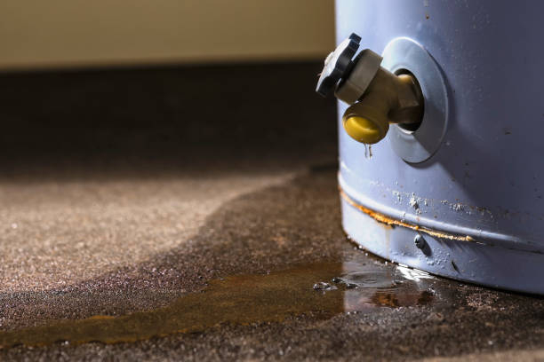 Best Mold removal after water damage  in College Station, TX