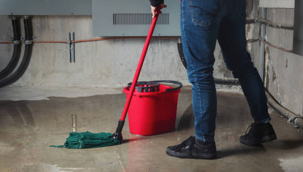 Best Ceiling water damage repair  in College Station, TX