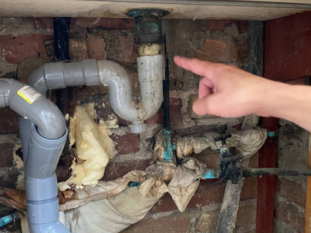 Best Professional water damage repair  in College Station, TX